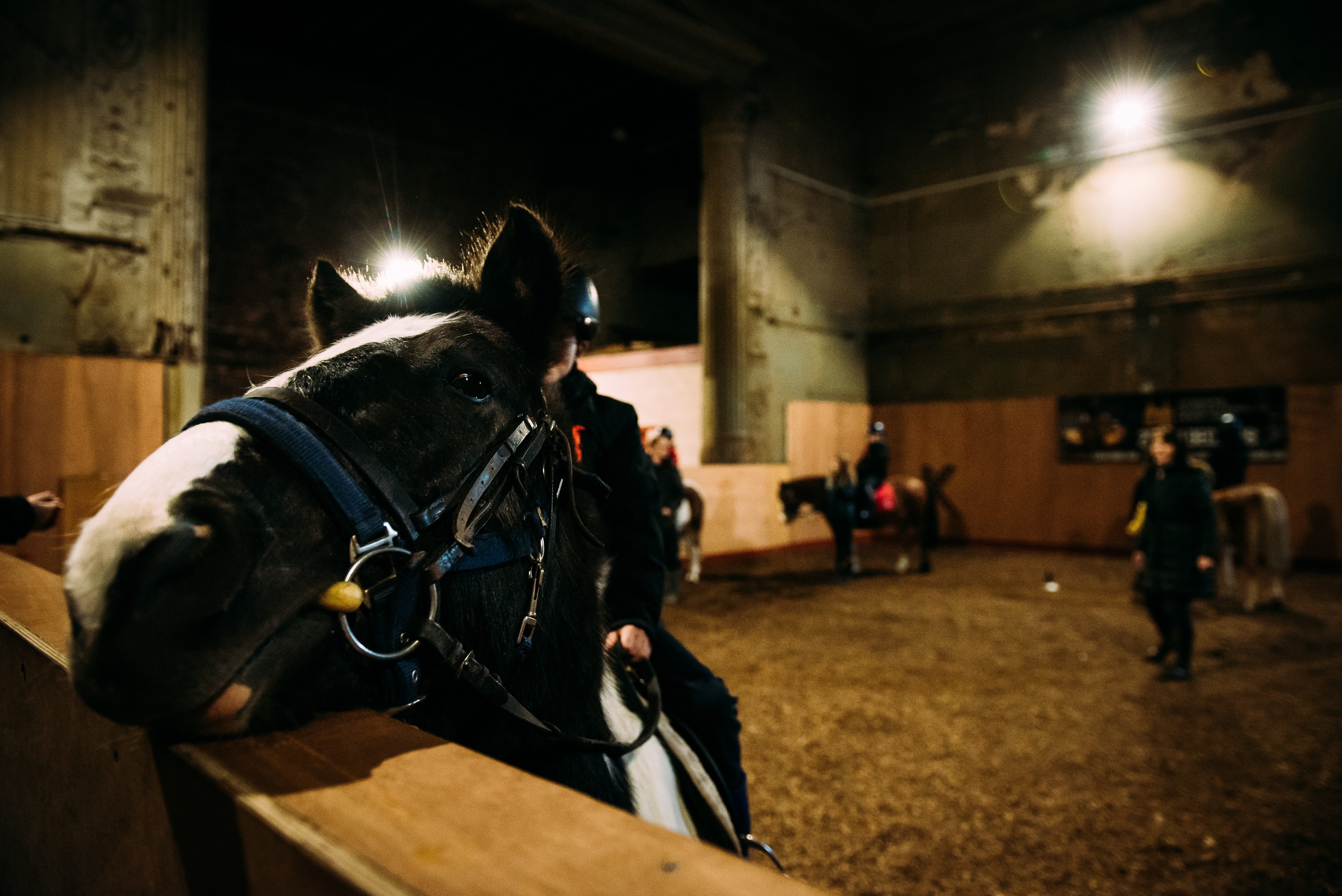 SIMPLE LIFE SUPPORTS PARK PALACE PONIES FOR A THIRD YEAR